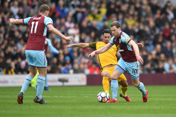 的热门选择 的热门选择